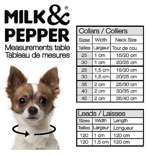 Milk&Pepper Stardust Collier Rouge